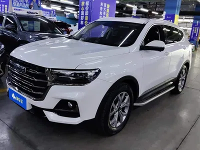 2021 Haval H6 Model National Trend Edition 1.5T Auto Champion, фото 1, лот 10675220