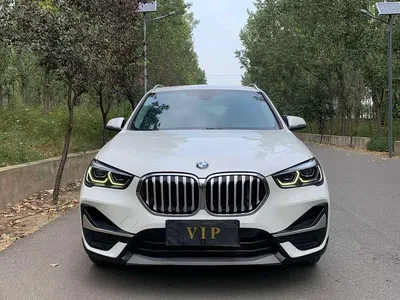 2020 BMW X1 sDrive25Li Leading Model, фото 2, лот 11189328