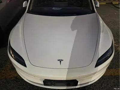 2023 Tesla Model 3 Long Range All-Wheel Drive, фото 1, лот 10450502