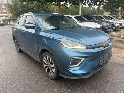 2020 Weltmeister EX5 EX5-Z Fun Dynamic Edition, фото 3, лот 10450423