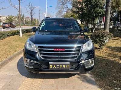 2017 Haval H9 2.0T Petrol 4WD Luxury 7-seater, фото 2, лот 10281575