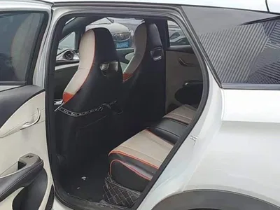 2021 BYD Dolphin Model 405km Fashion Edition, фото 3, лот 11242884
