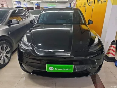 2023 Tesla Model Y Rear-Wheel Drive Edition, фото 3, лот 10369986