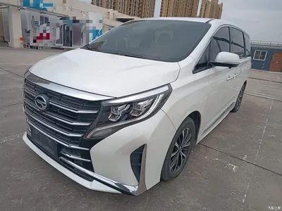 2021 GAC Trumpchi Trumpchi M8 Leading Show Series 390T Luxury Edition, фото 1, лот 10426232