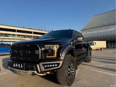 2019 Ford F-150 Raptor 3.5T Raptor Performance Enhanced Edition, фото 1, лот 10300073
