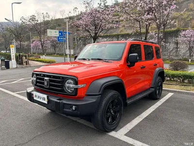 2023 Tank 300 Off-Road Edition 2.0T Conqueror, фото 1, лот 10351062