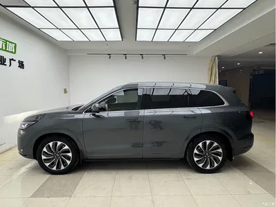 2024 AITO Wenjie AITO M7 1.5T RWD Plus 5-Seater, фото 4, лот 10276668