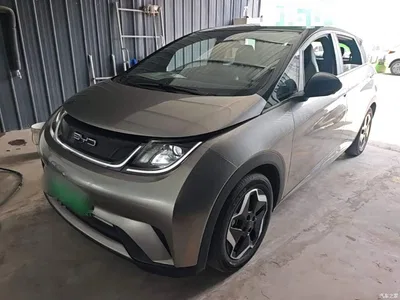 2021 BYD Dolphin Model 405km Fashion Edition, фото 2, лот 10263966