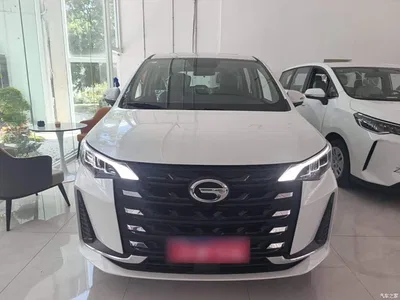2023 GAC Trumpchi Trumpchi M6 PRO 270T DCT Luxury Edition, фото 3, лот 10422944