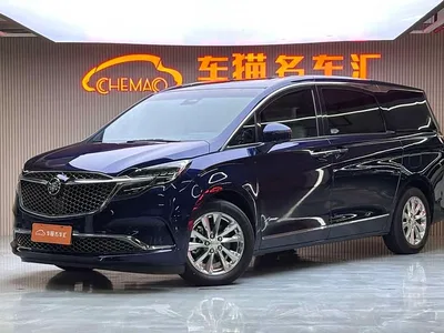 2020 Buick GL8 Avenir Four-Seat Prestige Edition, фото 1, лот 10248615