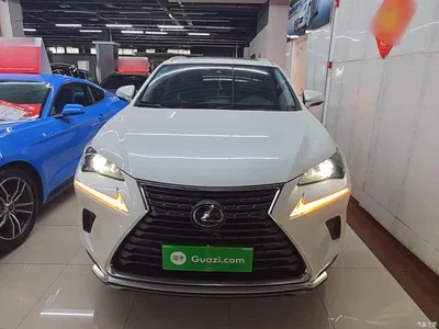 2020 Lexus NX 200 AWD F Sport China VI, фото 3, лот 10319257