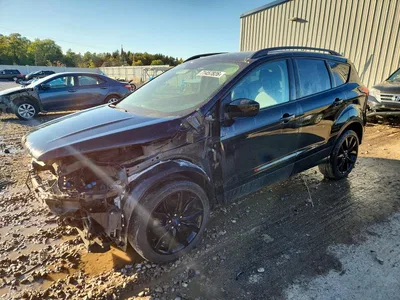 2019 FORD ESCAPE SE, фото 1, лот 11577936