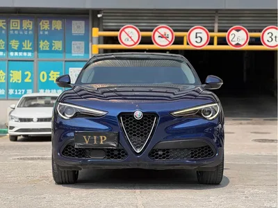 2017 Alfa Romeo Stelvio 2.0T 200HP Elite, фото 2, лот 10239824