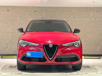 2017 Alfa Romeo Stelvio 2.0T 200HP Elite, фото 2, лот 10239851