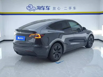 2024 Tesla Model Y Rear-Wheel Drive Version, фото 3, лот 11570244