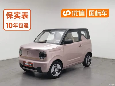 2023 Geely Galaxy Panda Mini 200km Lively Bear, фото 1, лот 11586285