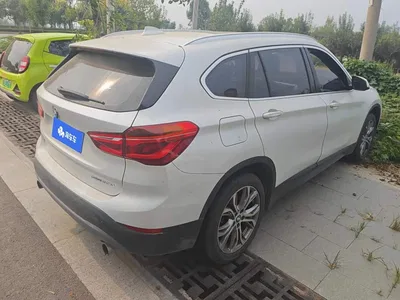 2019 BMW X1 sDrive20Li Leading Model, фото 3, лот 11227886