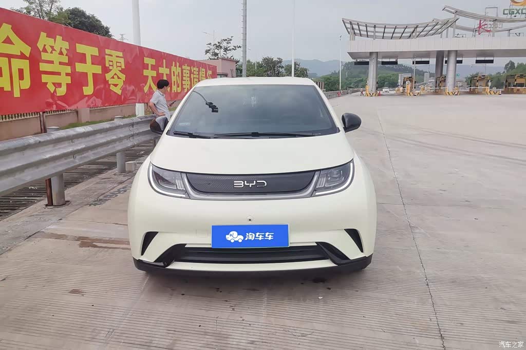 2025 BYD Dolphin 420km Freedom Edition, фото 2, лот 11228184