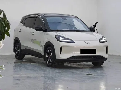 2024 Wuling Motors Wuling Binguo PLUS Model 330km 5-Seater, фото 3, лот 11448300