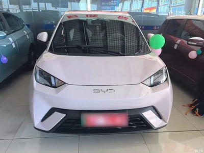2024 BYD Seagull Glory Edition 305km Vitality Edition, фото 3, лот 10260034