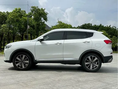 2021 Haval H6 2.0GDIT Automatic Champion Edition, фото 4, лот 10299708