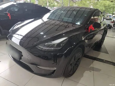 2024 Tesla Model Y Long Range AWD, фото 1, лот 11011421
