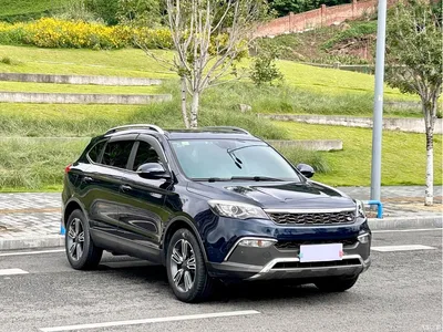 2017 Leopaard CS10 Model 2.0T Automatic Urban Edition, фото 3, лот 11646032