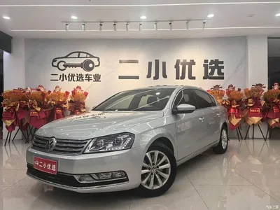 2013 Volkswagen Magotan 1.8TSI Luxury, фото 3, лот 10424431