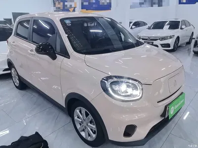 2022 Leapmotor T03 Amber Edition, фото 4, лот 10443060