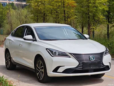 2019 Changan Eado New Energy EV460 Sharing Edition, фото 3, лот 11223478