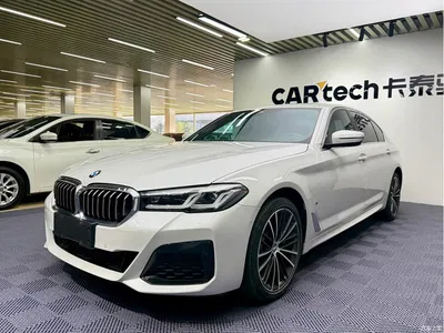 2023 BMW 5 Series 530Li Leading M Sport Package, фото 1, лот 11188384