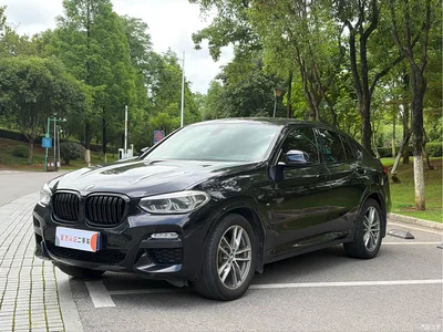 2019 BMW X4 xDrive25i M Sport Package, фото 1, лот 10476802