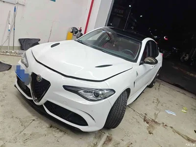2017 Alfa Romeo Giulia 2.0T 280HP Luxury Edition, фото 1, лот 10239843
