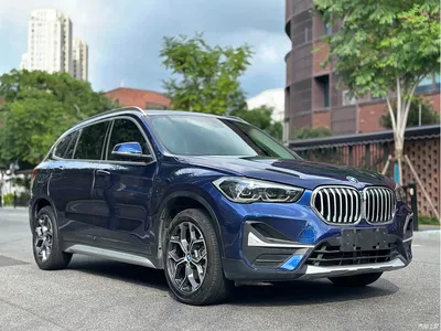 2020 BMW X1 sDrive20Li Premium Edition, фото 3, лот 10464802