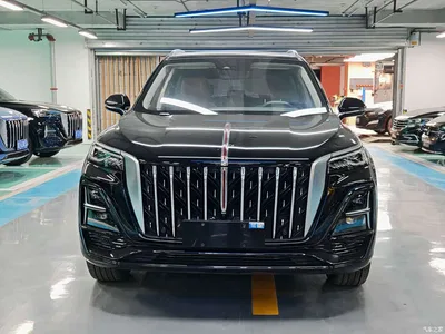 2023 Hongqi HS5 2.0T Flag Enjoy Pro Edition, фото 2, лот 10304189