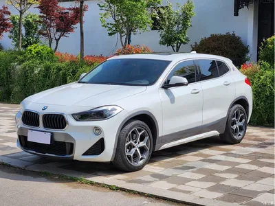 2019 BMW X2 (Import) sDrive20i M Off-Road Package China VI, фото 1, лот 10241827