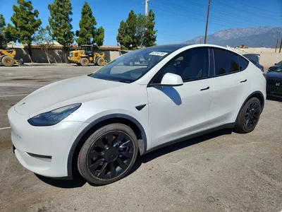 2021 TESLA MODEL Y, фото 1, лот 10856636