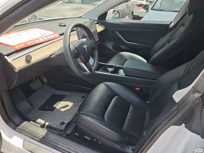2021 Tesla Model 3 Standard Range Rear-Wheel Drive Upgrade, фото 4, лот 10354410