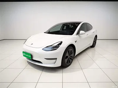 2019 Tesla Model 3 (Import) Long Range RWD Version, фото 1, лот 10375900