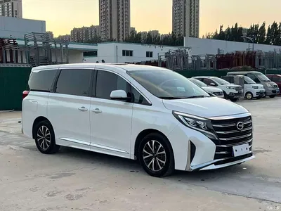 2021 GAC Trumpchi Trumpchi M8 Leading Show Series 390T Premium Edition, фото 3, лот 10419875