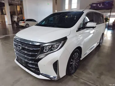 2021 GAC Trumpchi Trumpchi M8 Leading Show Series 390T Ultimate Edition, фото 2, лот 11549512