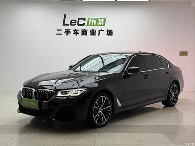 2022 BMW 5 Series 530Li Leading M Sport Package, фото 1, лот 10898826