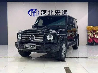 2020 Mercedes-Benz G-Class G 350, фото 1, лот 11550078