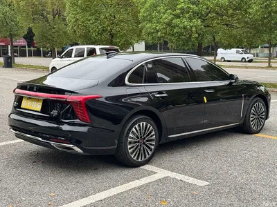 2025 Hongqi H5 2.0T Automatic Flag Celebration 500,000 Units Anniversary Edition, фото 4, лот 10285381