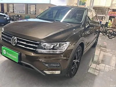 2019 Volkswagen Tiguan L 330TSI Automatic 2WD Smart Luxury Edition China VI, фото 1, лот 10462527