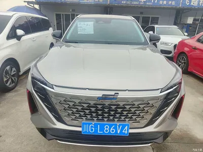 2022 Oshan Z6 Blue Whale 1.5T DCT Intelligent Leader, фото 2, лот 10407985