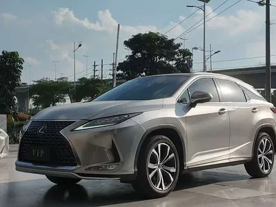 2020 Lexus RX 300 4WD Elegance Edition China VI, фото 1, лот 10316455