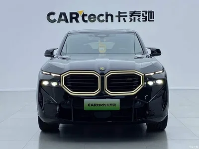 2023 BMW XM Model Base, фото 2, лот 10477232