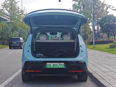 2025 ZEEKR MIX Smart Driving Edition, фото 4, лот 10291569