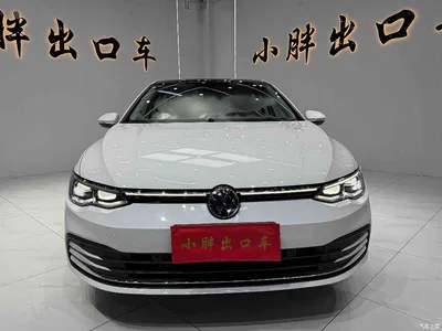 2023 Volkswagen Golf Facelift 280TSI DSG Pro, фото 2, лот 10449670
